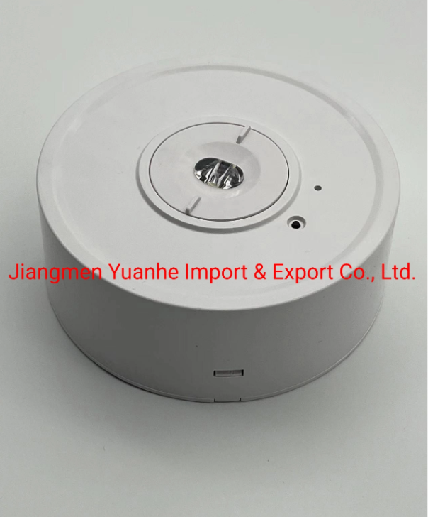 Фабрика аварийного освещения потолочного типа