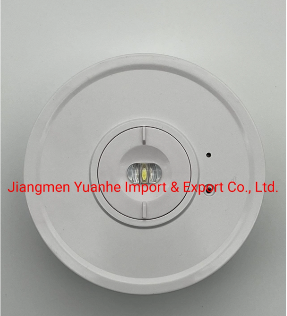 Светодиодный аккумуляторный аварийный потолочный светильник